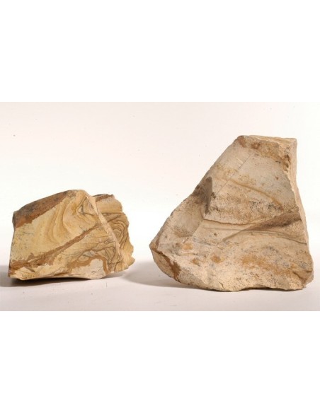 Zolux roccia decorativa tipo Picture stone pezzo singolo peso 1 kg ca.