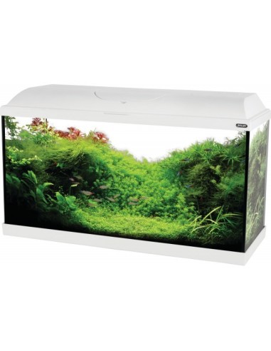 Zolux Iseo 60 Acquaro accessoriato - bianco