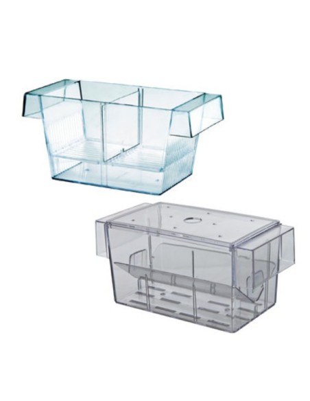 Ottavi baby fish nido parto