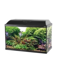 Zolux Iseo 60 Acquaro accessoriato - NERO