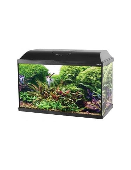 Zolux Iseo 60 Acquaro accessoriato - NERO