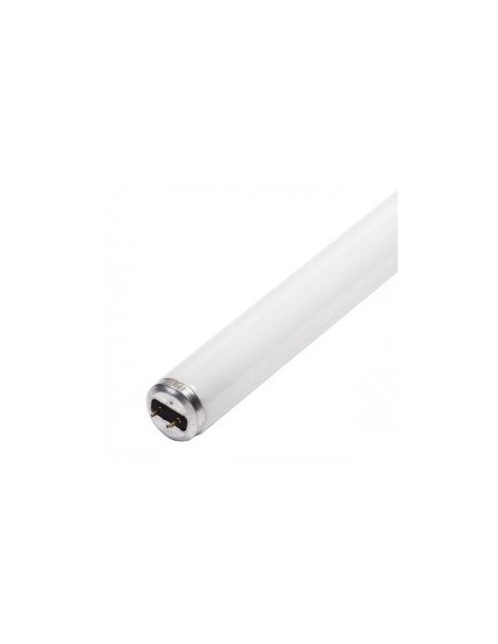 Mondial Tropical light 30 watt