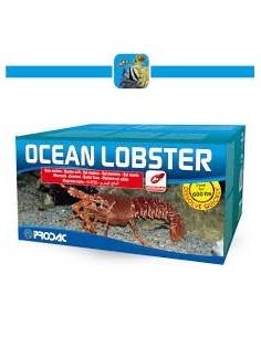 PRODAC OCEAN LOBSTER SALE PER ACQUARI CON CROSTACEI - ARAGOSTE - ASTICI  20 KG 600 LITRI