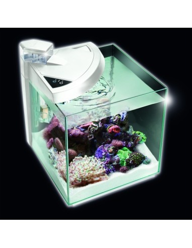 Newa Acquario Newamore Marine NMO 50R Nero45 litri con Supporto