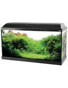 Zolux Acquario Iseo 80 completo  84 litri Nero
