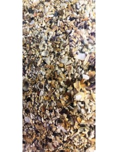 Sabbia Corallina Media Granulometria 2 / 3 mm - 10Kg 2