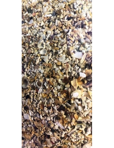 Sabbia Corallina Media Granulometria 2 / 3 mm - 10Kg