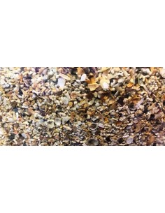 Sabbia Corallina Media Granulometria 2 / 3 mm - 10Kg