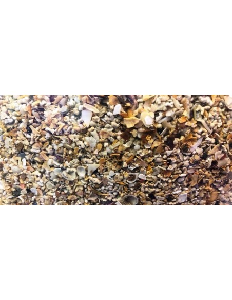 Sabbia Corallina Media Granulometria 2 / 3 mm - 10Kg
