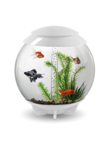 biOrb Halo MCR LED MULTICOLORE Grigio  - 15LT