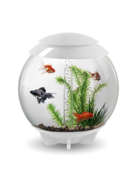 biOrb Halo MCR LED MULTICOLORE Grigio  - 15LT
