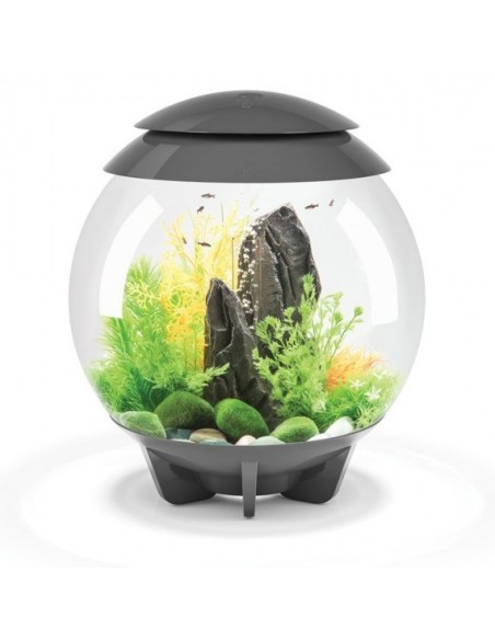 biOrb Halo MCR LED MULTICOLORE Grigio  - 15LT