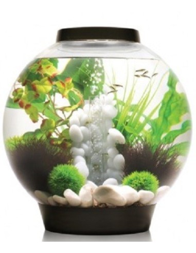 biOrb Halo MCR LED MULTICOLORE Bianco  - 15LT
