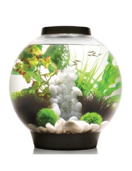 biOrb Halo MCR LED MULTICOLORE Bianco  - 15LT