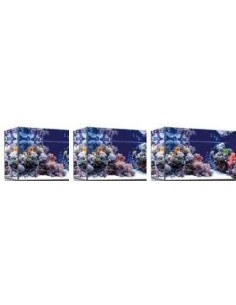 Vasca Acquario Artigianale Professionale  IN TOTAL VETRO EXTRA CHIARO - 60x50x40h - 120LT (solo vasca) 2