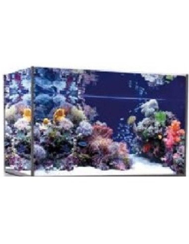 Vasca Acquario Artigianale Professionale IN TOTAL VETRO EXTRA CHIARO - 130x80x65H- 676LT (solo vasca)