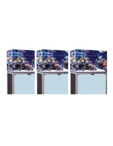 Vasca Acquario Artigianale Professionale  IN TOTAL VETRO EXTRA CHIARO -  140X45X60H - 378LT (con supporto)