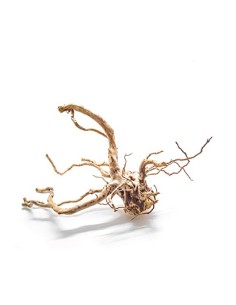 Blu Bios legno di mangrovia azalea root medio