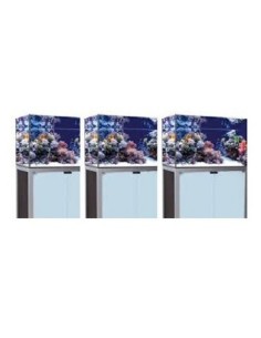 Vasca Acquario Artigianale Professionale  IN TOTAL VETRO EXTRA CHIARO -  110X70X60H - 462LT (con supporto) 2