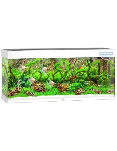 Juwel Acquario Rio 240 Bianco (Solo Acquario - Nuovo Modello con Illuminazione Led)