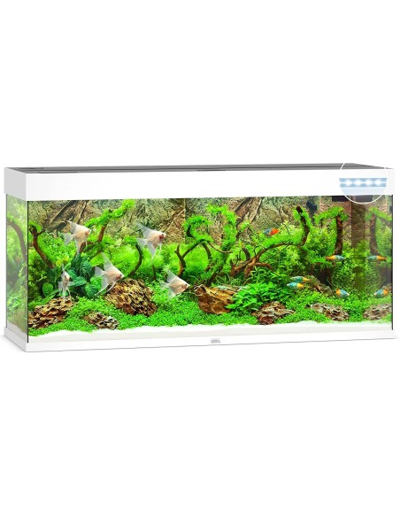 Juwel Acquario Rio 240 Bianco (Solo Acquario - Nuovo Modello con Illuminazione Led)
