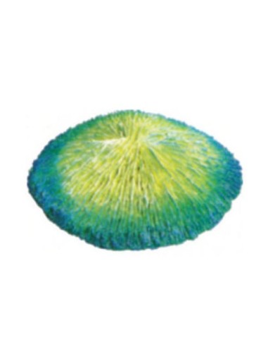 Giumar decorazione in resina corallo 15x14,5x4 cm