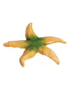 Giumar decorazione in resina stella marina 15 x13,5x1,5 cm