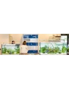 Vasca Acquario Artigianale Professionale  IN TOTAL VETRO EXTRA CHIARO - 120X50X50H -300LT 2
