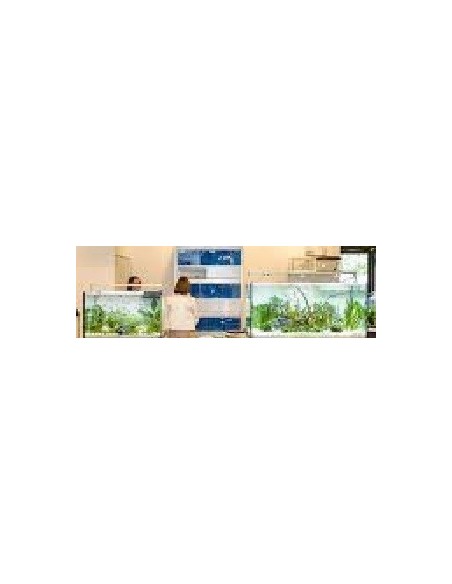 Vasca Acquario Artigianale Professionale  IN TOTAL VETRO EXTRA CHIARO - 120X40X50H -300LT  (solo vasca)