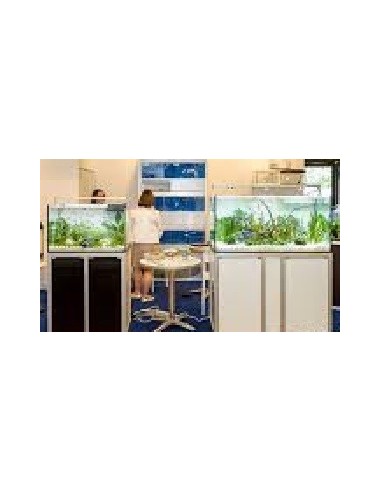 Vasca Acquario Artigianale Professionale IN TOTAL VETRO EXTRA CHIARO 140X40X60H - 336LT (con supporto)