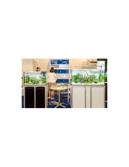 Vasca Acquario Artigianale Professionale IN TOTAL VETRO EXTRA CHIARO 140X40X60H - 336LT (con supporto)