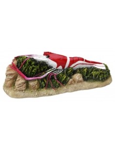 Europet decorazione in resina atossica gambero