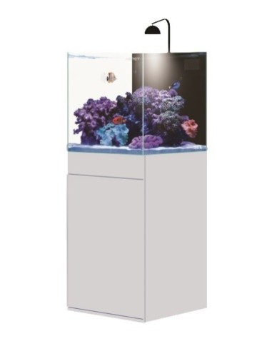 AQPet Kit Acquario Kubic 50 bianco con supporto in vetro extra chiaro