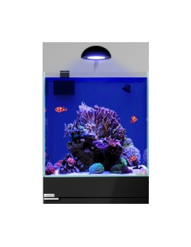 AQPet Kit Acquario Kubic 50 bianco con supporto in vetro extra chiaro