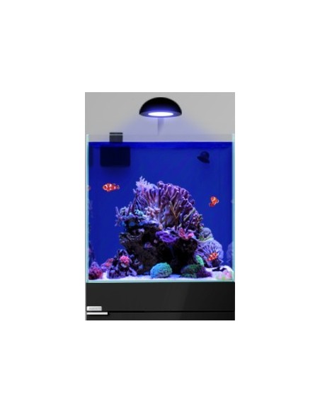 AQPet Kit Acquario Kubic 50 bianco con supporto in vetro extra chiaro
