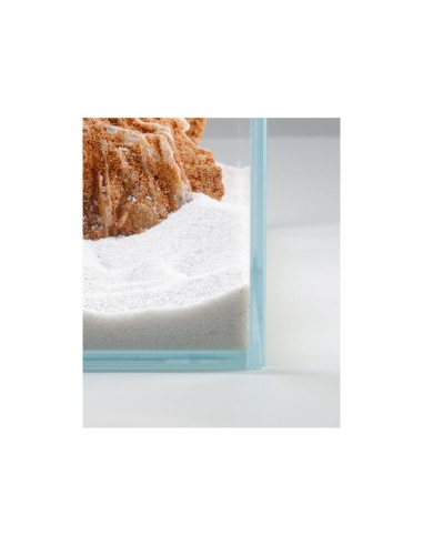 Vasca Acquario Artigianale Professionale  IN TOTAL VETRO EXTRA CHIARO -  50x50x80H -200LT  (solo vasca)