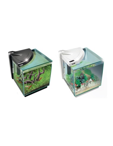 Newa Acquario Newamore Freshwater NMO 50 Nero 45 litri