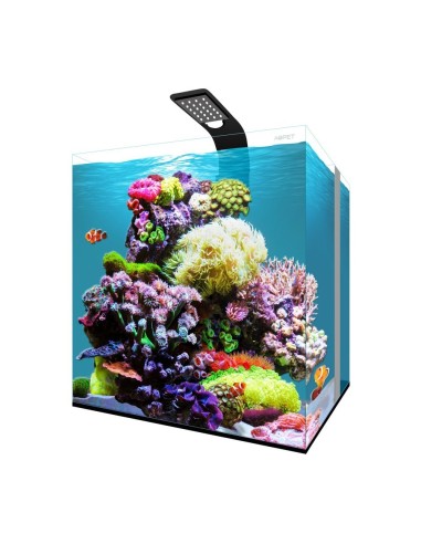 Aqpet Kubic Reef Box 40 Acquario Completo Acqua marina 40x40x40h