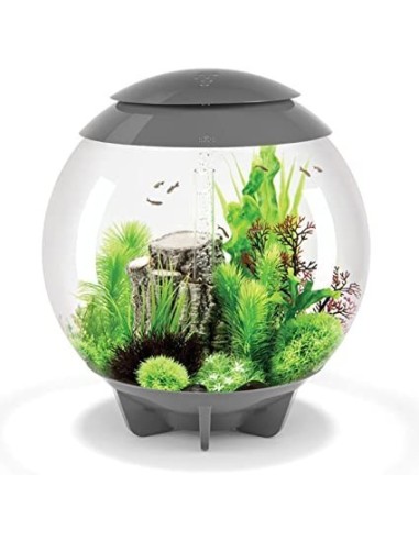 biOrb Halo 30 MCR LED MULTICOLORE GRIGIO   - 30LT