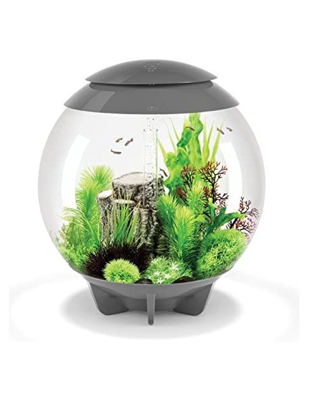 biOrb Halo 30 MCR LED MULTICOLORE GRIGIO   - 30LT