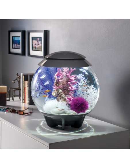 biOrb Halo 30 MCR LED MULTICOLORE GRIGIO   - 30LT