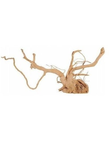 Legno Radice spellata red wood 40 - 50cm