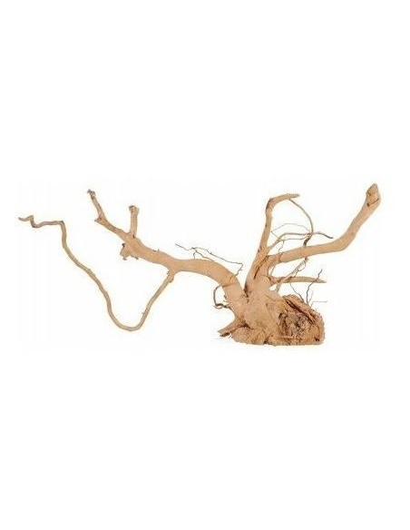 Legno Radice spellata red wood 10 - 30 cm