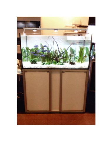 Vasca Acquario Artigianale Professionale  IN TOTAL VETRO EXTRA CHIARO -  150X70X60H - 630LT (CON SUPPORTO MOBILE)