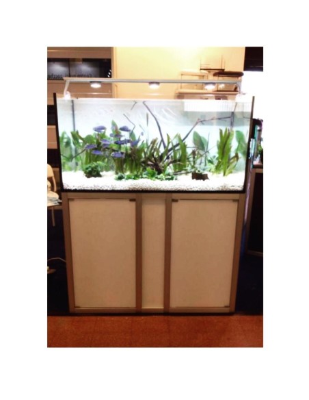 Vasca Acquario Artigianale Professionale  IN TOTAL VETRO EXTRA CHIARO -  150X70X60H - 630LT (CON SUPPORTO MOBILE)