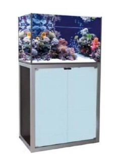 Vasca Acquario Artigianale Professionale Dreaming 120X60X80H (con supporto)