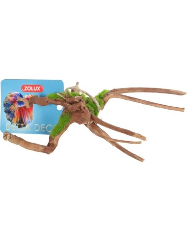 Zolux radice ragno Kipouss Small 10-20 cm