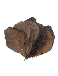 Zolux Aquaya foglie di catappa conf.da  14 pezzi