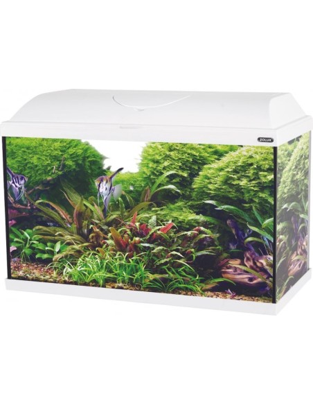 Zolux Acquario Iseo 80 completamente accessoriato (escluso arredo e pesci)  84 litri bianco