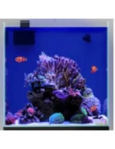 AQPet Vasca Acquario Acqua 50 Reef in total vetro extrachiaro cm50x50x50h